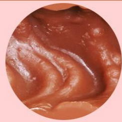 Âm đạo giả Châu Phi da đen có hậu môn